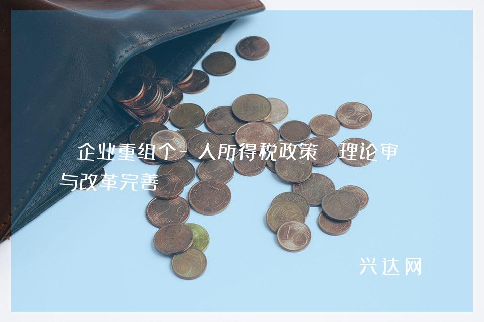 企業(yè)重組個-人所得稅政策:理論審視與改革完善